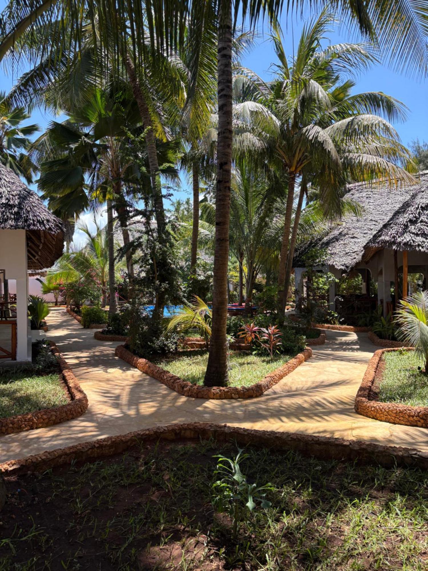 African Bungalows Nungwi Exteriör bild