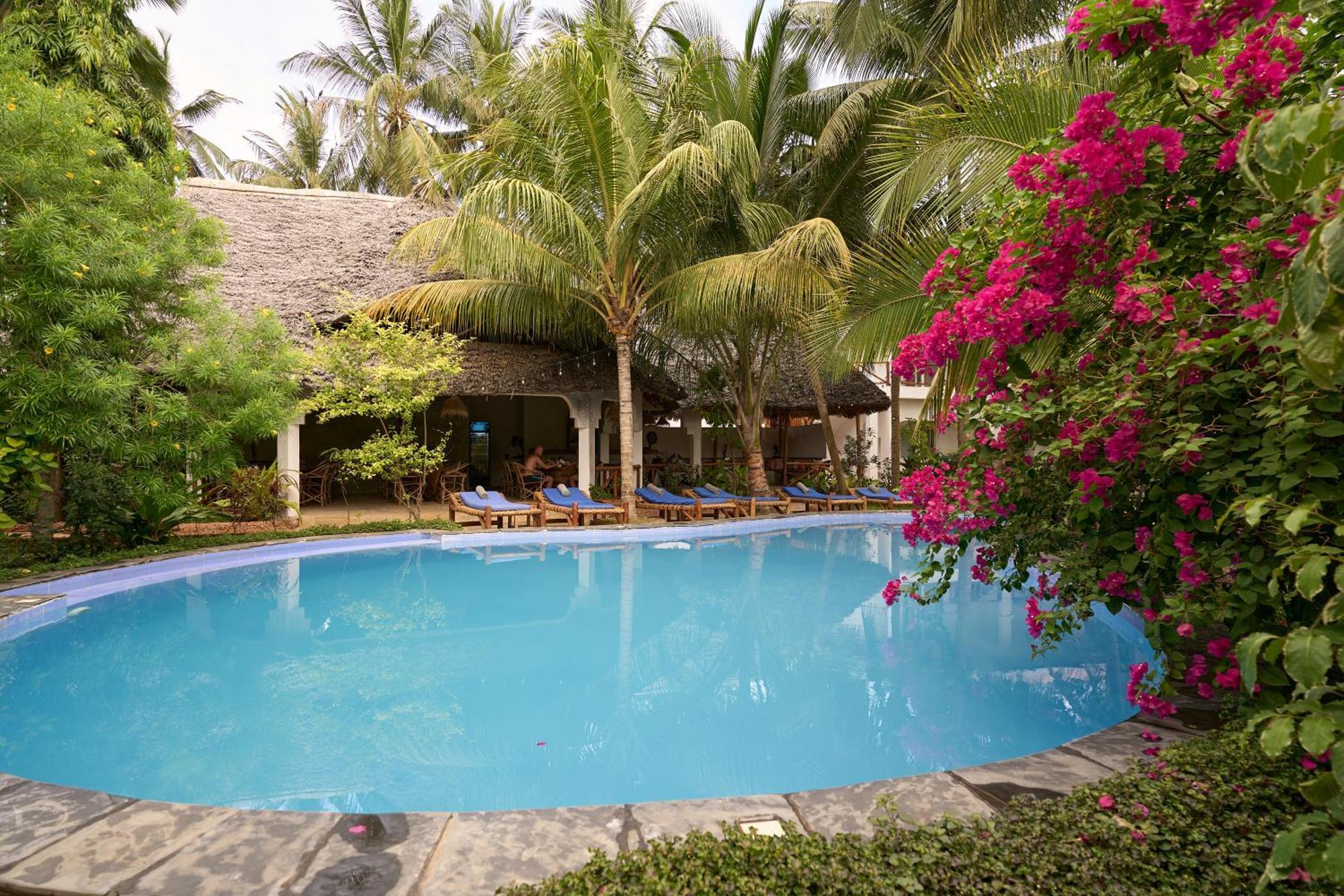 African Bungalows Nungwi Exteriör bild